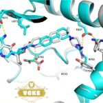 What Is Bitesolgemokz Chemical