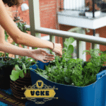 Urban Gardening