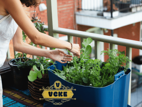 Urban Gardening