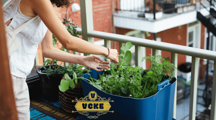 Urban Gardening